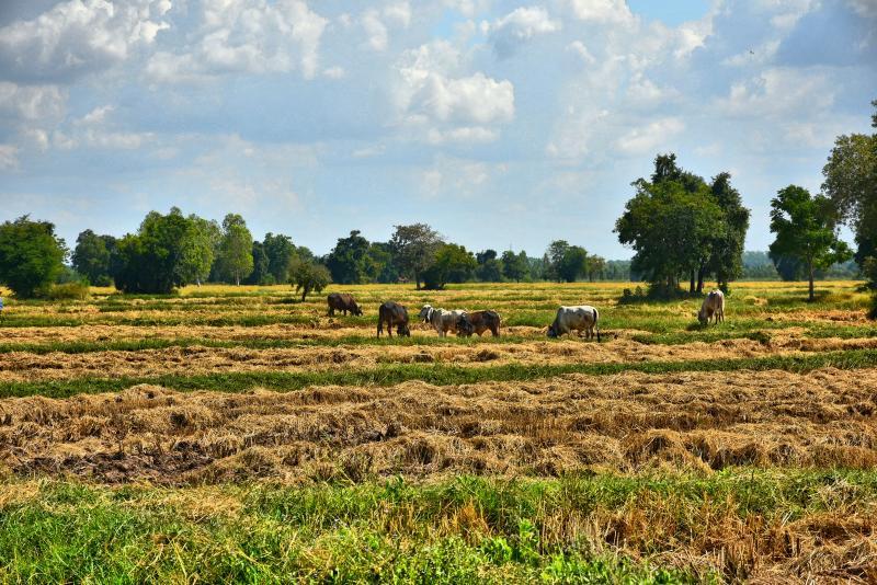 post-237730-0-34046500-1447750480_thumb.