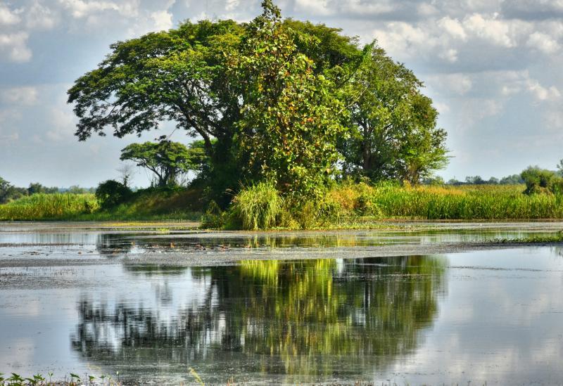 post-237730-0-44109200-1447669447_thumb.