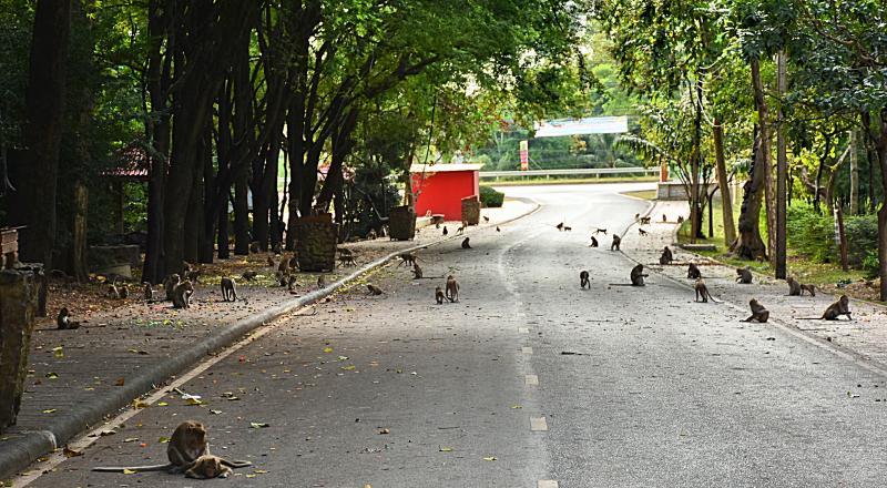 post-237730-0-44805300-1448373232_thumb.