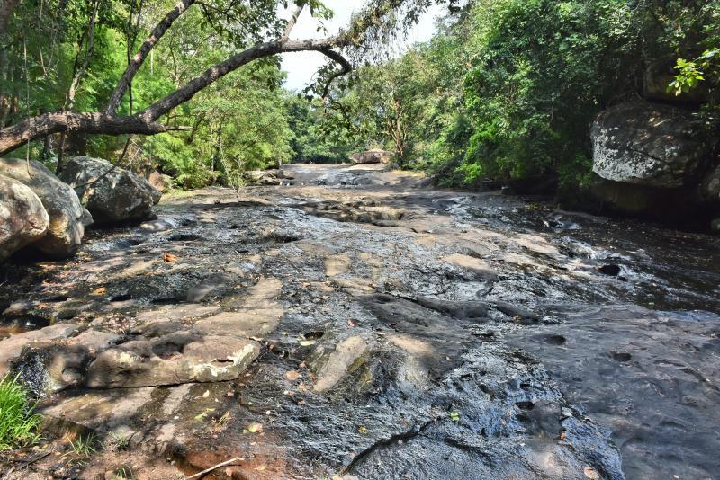 post-237730-0-45227100-1447808230_thumb.