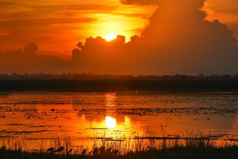 post-237730-0-45559300-1447576844_thumb.