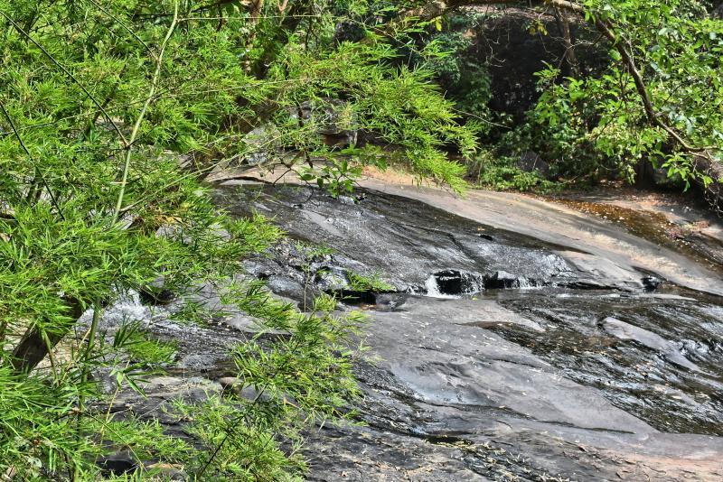 post-237730-0-47131300-1447808267_thumb.