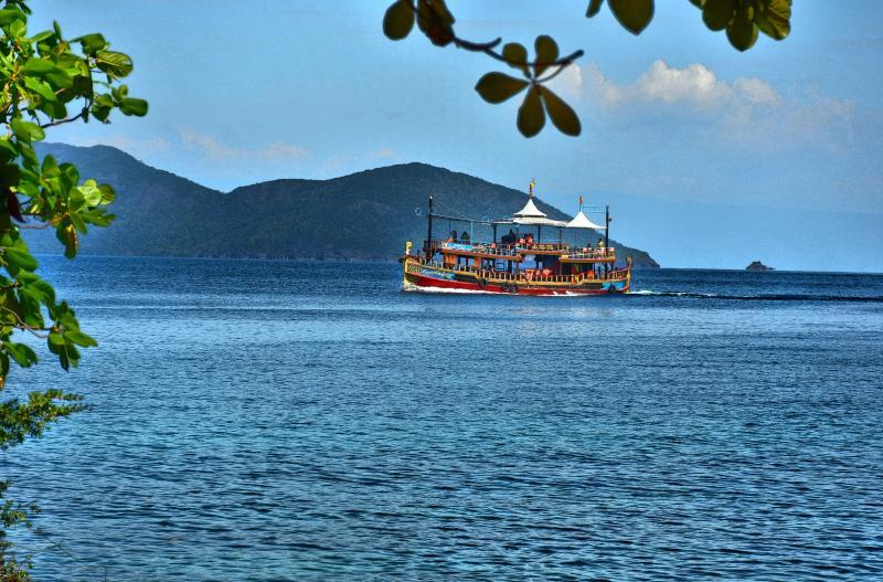 post-237730-0-47560300-1446890472_thumb.