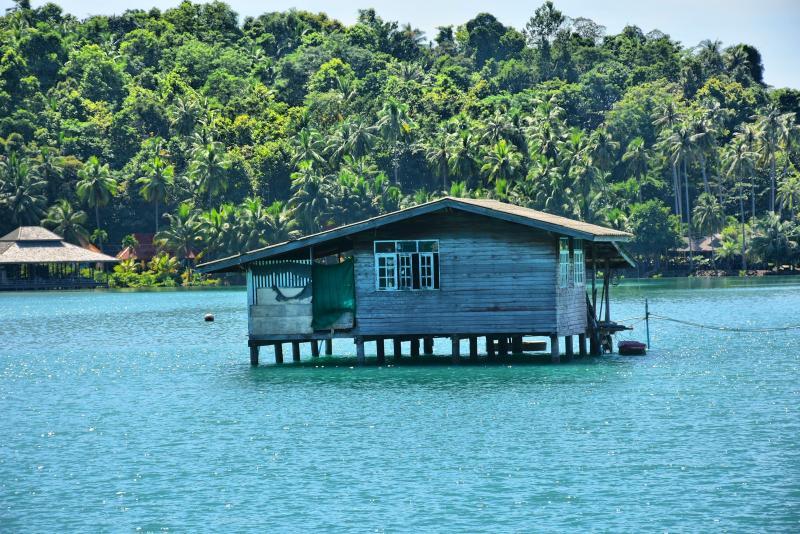 post-237730-0-48134500-1447118393_thumb.