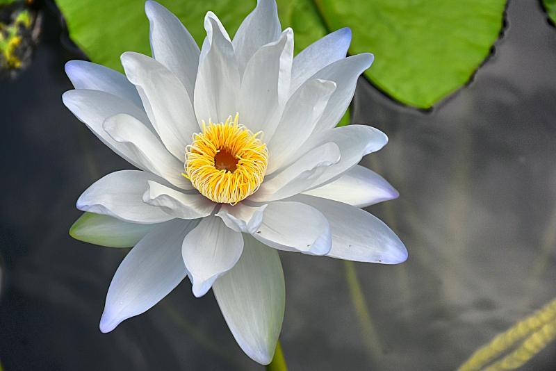 post-237730-0-49311200-1448271686_thumb.