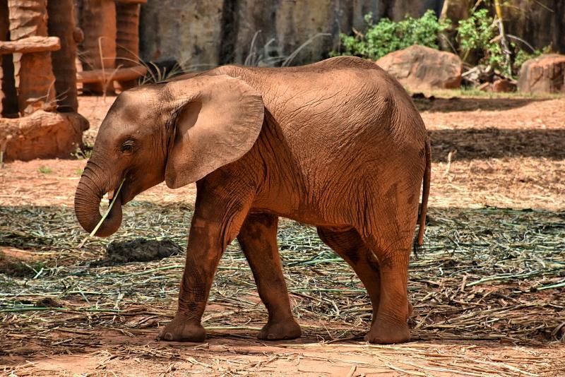 post-237730-0-49631400-1448078490_thumb.