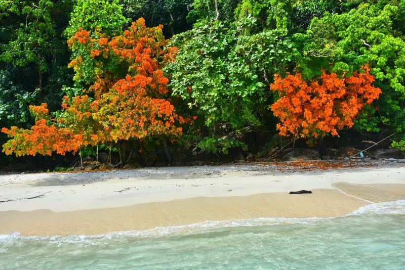 post-237730-0-50823600-1446889083_thumb.