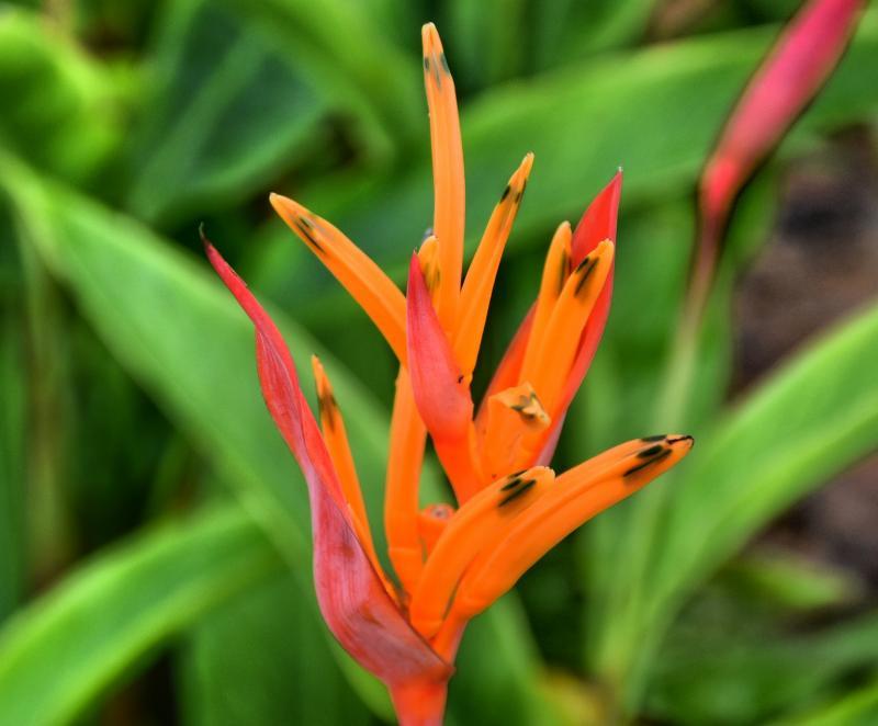 post-237730-0-51096200-1446885284_thumb.