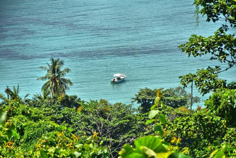 post-237730-0-51128300-1446981296_thumb.