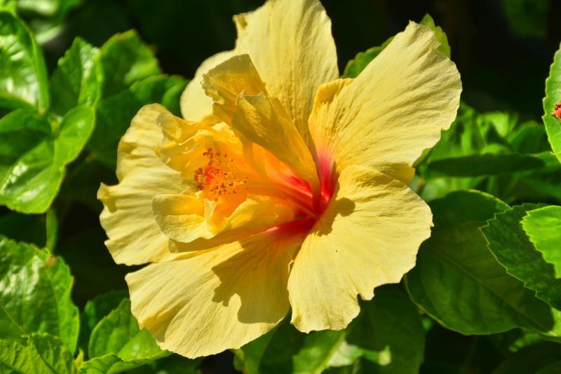 post-237730-0-51468400-1447564633_thumb.