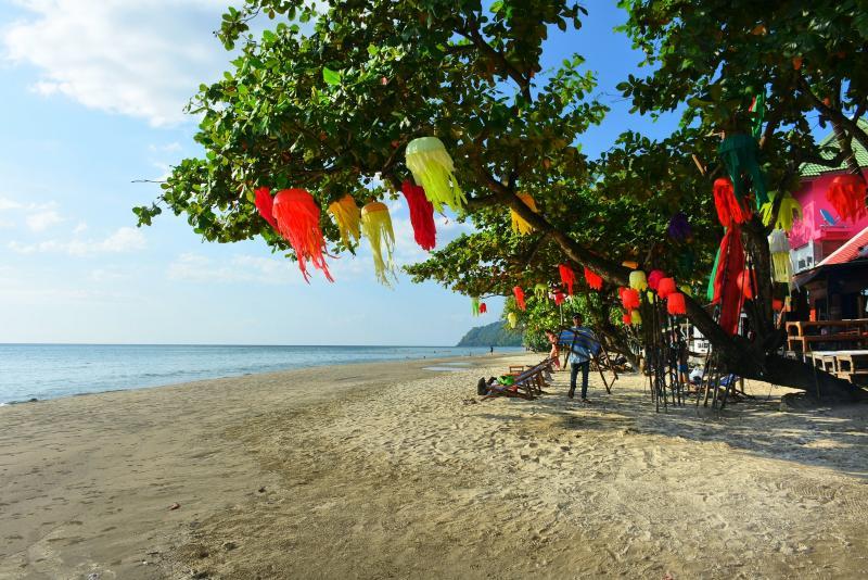 post-237730-0-52988300-1446978380_thumb.