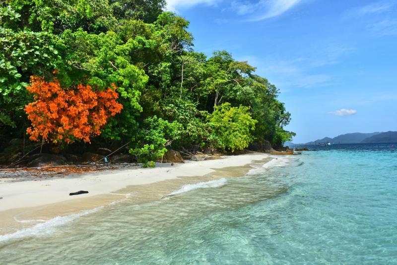 post-237730-0-54045100-1446889113_thumb.