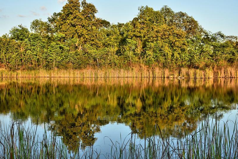 post-237730-0-54222800-1448160850_thumb.