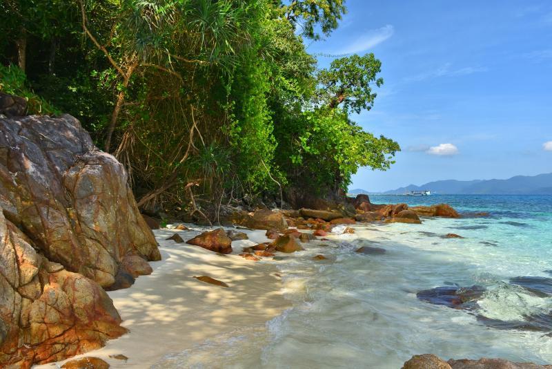 post-237730-0-55952900-1446889142_thumb.