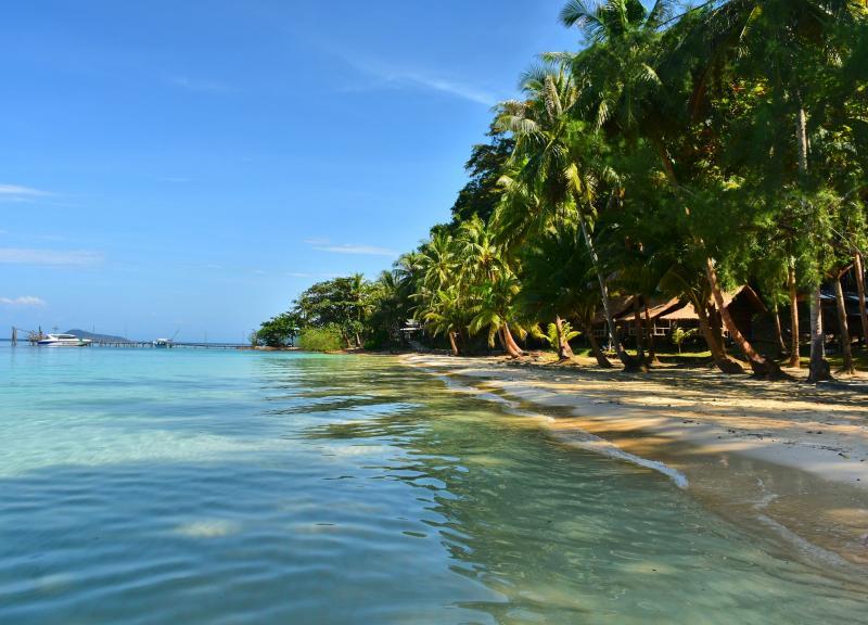 post-237730-0-57574400-1446619569_thumb.