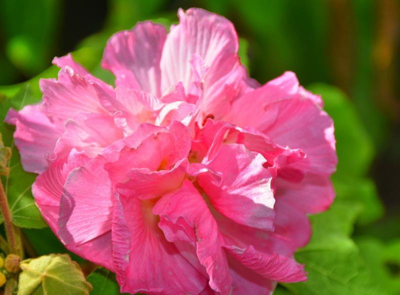 post-237730-0-58707000-1447564659_thumb.