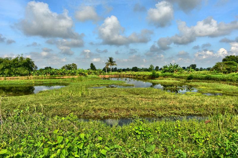 post-237730-0-63128700-1447388253_thumb.