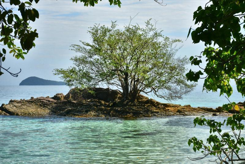 post-237730-0-63406300-1446529217_thumb.