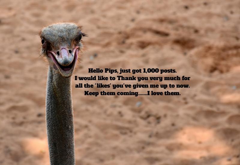 post-237730-0-67412400-1447916822_thumb.