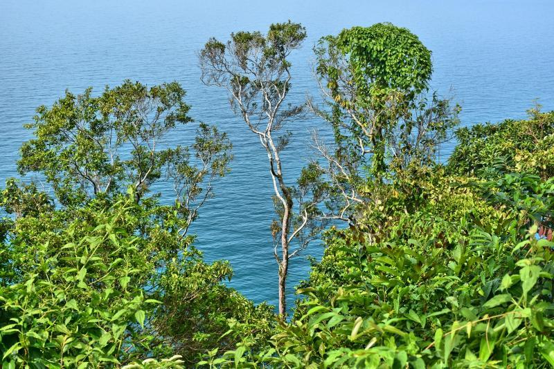 post-237730-0-67548600-1446981337_thumb.