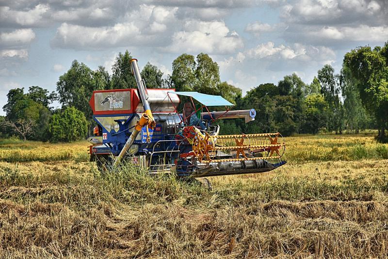 post-237730-0-69620600-1448073576_thumb.