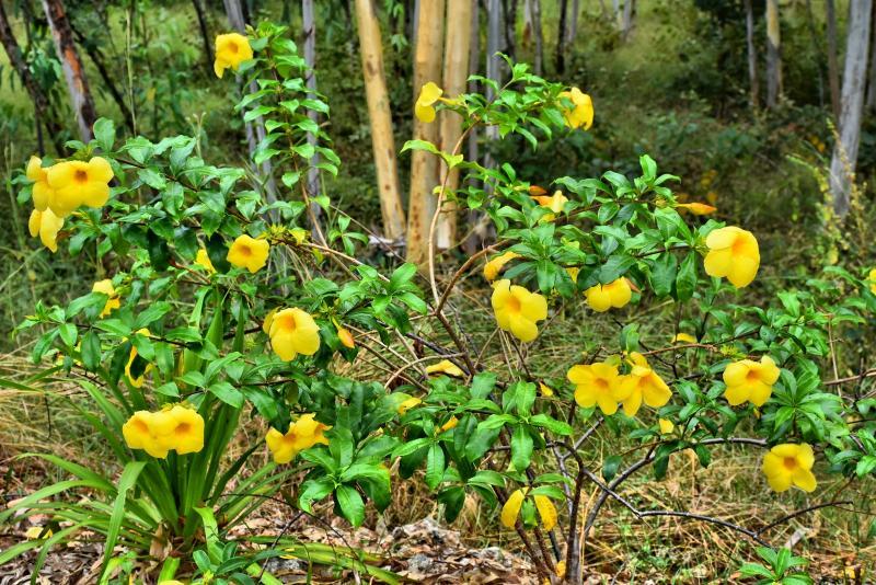 post-237730-0-70670600-1447293737_thumb.