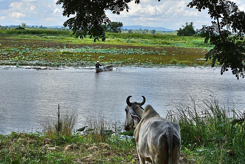 post-237730-0-73312000-1448507393_thumb.