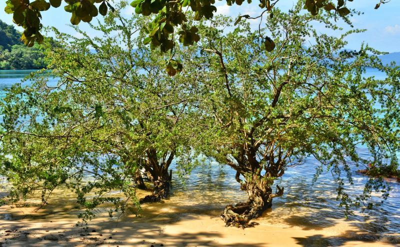 post-237730-0-74642500-1447119825_thumb.