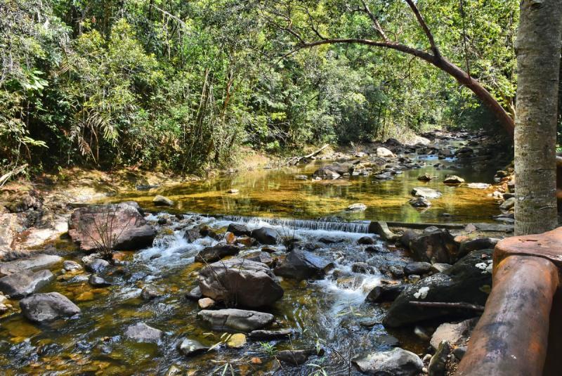 post-237730-0-74770100-1446779151_thumb.