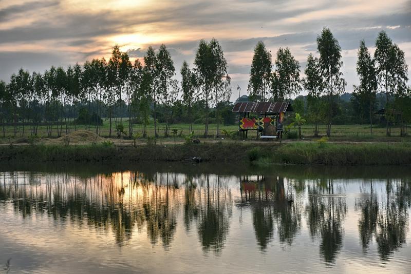 post-237730-0-75066500-1448849680_thumb.