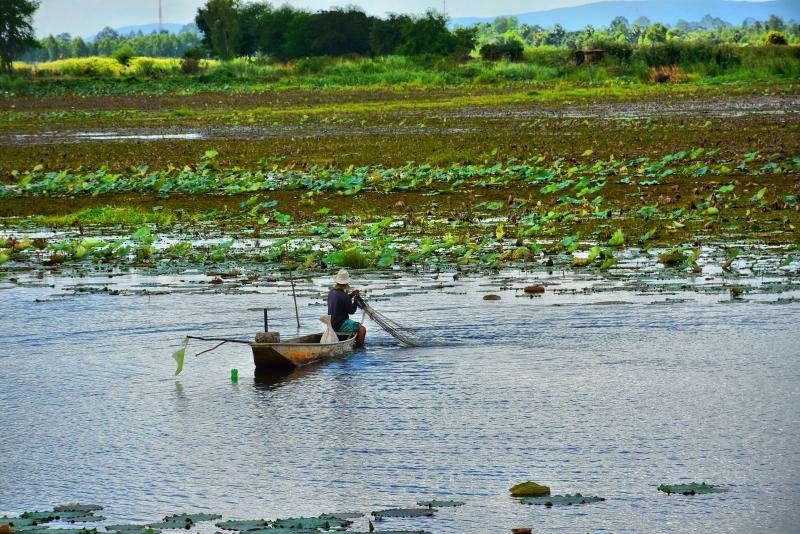 post-237730-0-76392000-1447294358_thumb.