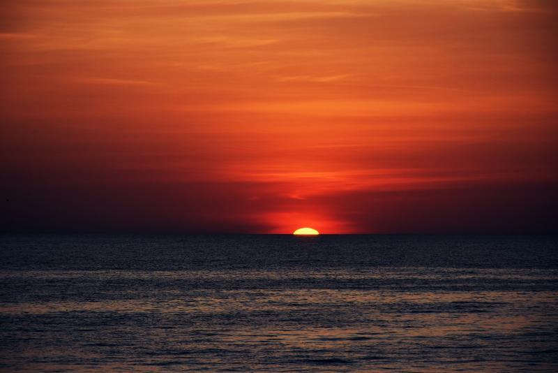 post-237730-0-77392000-1447478543_thumb.