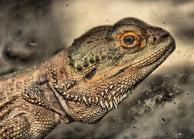 post-237730-0-78549100-1447982613_thumb.