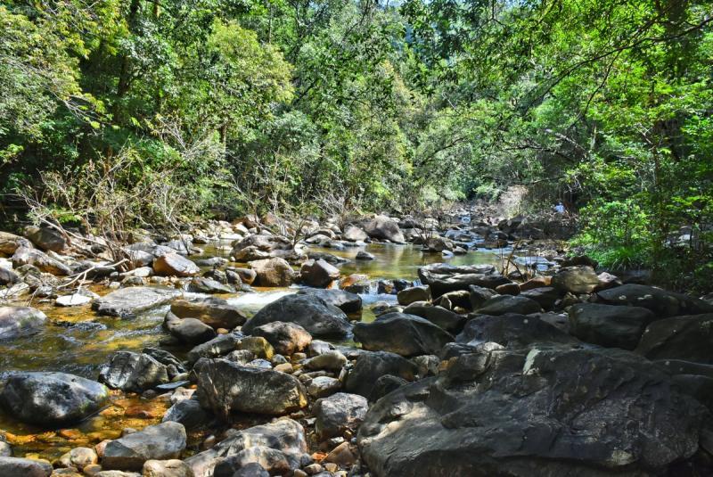 post-237730-0-80537900-1446779194_thumb.