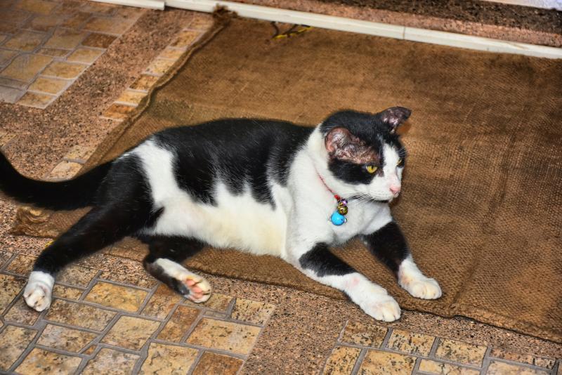 post-237730-0-84145900-1447209654_thumb.