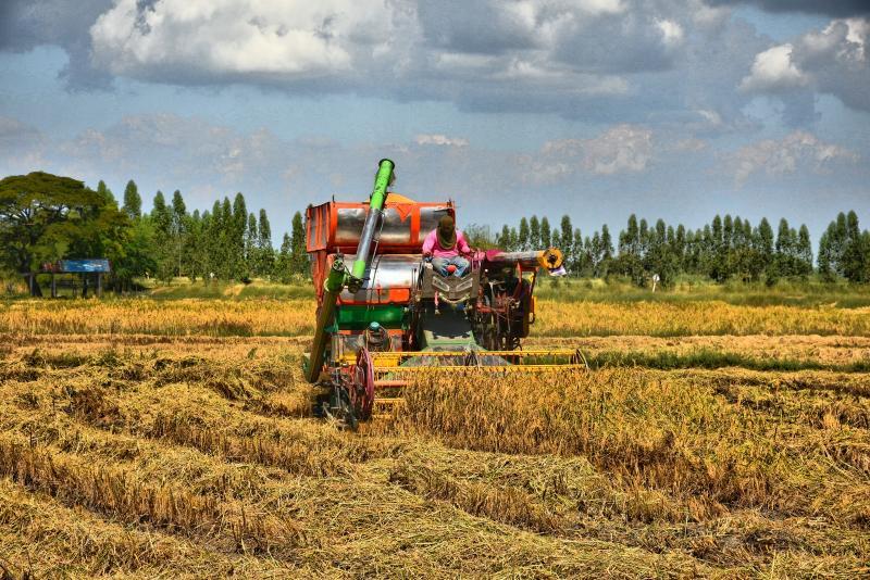 post-237730-0-85006800-1447668113_thumb.