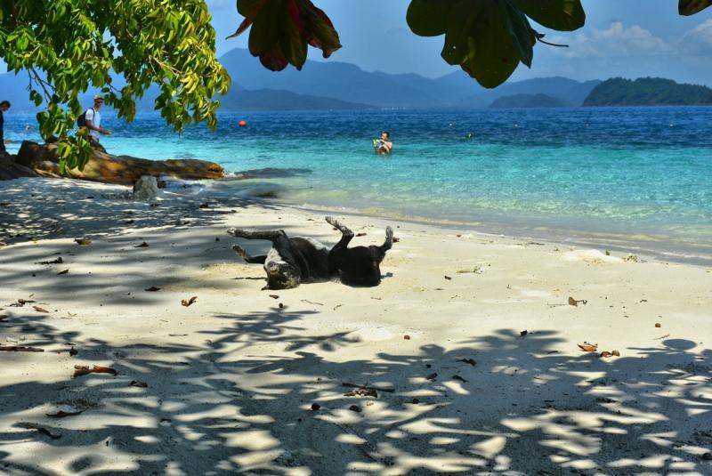 post-237730-0-87544600-1446727144_thumb.