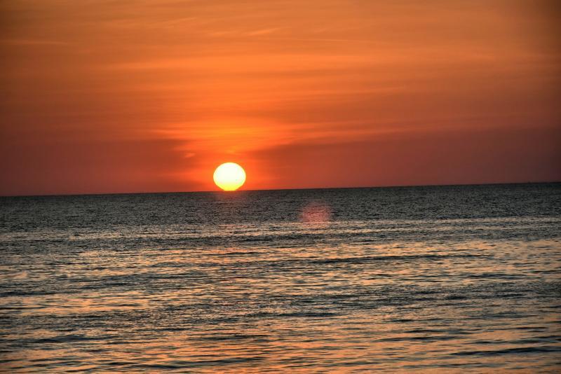 post-237730-0-89404400-1446521574_thumb.