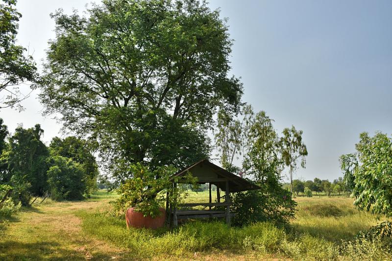 post-237730-0-91495300-1448859531_thumb.