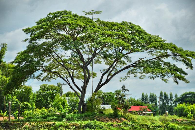 post-237730-0-91679600-1448080345_thumb.