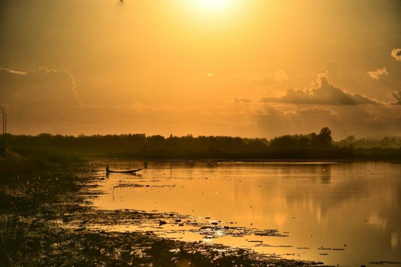 post-237730-0-91705700-1447639533_thumb.