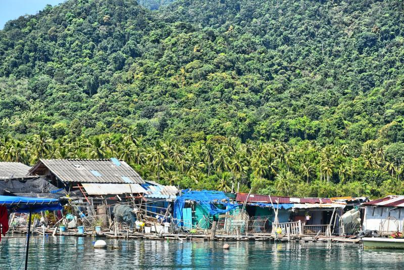 post-237730-0-94624500-1447208561_thumb.