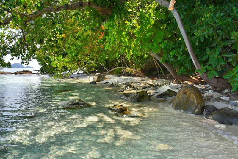 post-237730-0-94706100-1447117188_thumb.