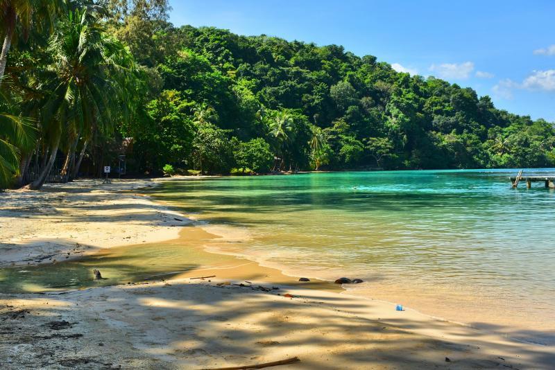 post-237730-0-98247000-1446619839_thumb.