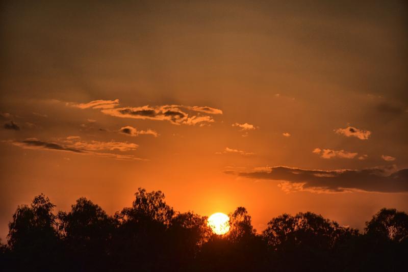 post-237730-0-98397300-1448684111_thumb.