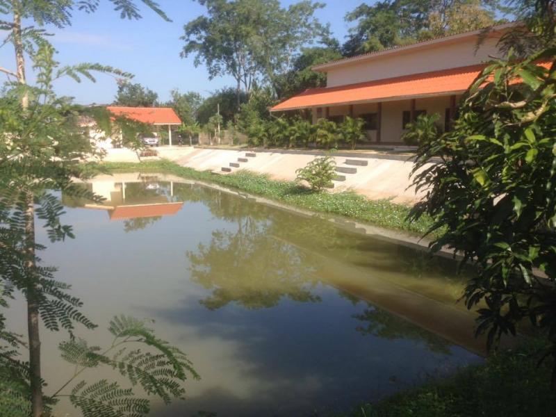 post-239512-0-11967500-1448253008_thumb.