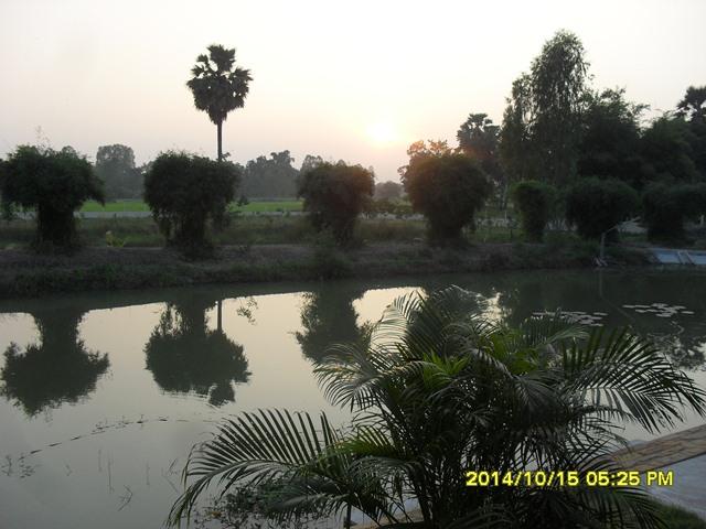 post-239512-0-13514700-1447489698_thumb.