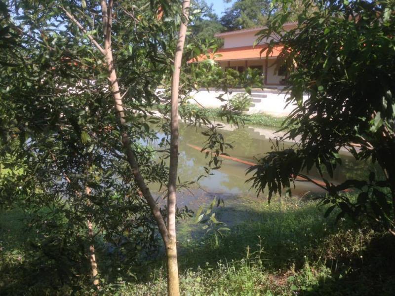 post-239512-0-36474700-1448252506_thumb.