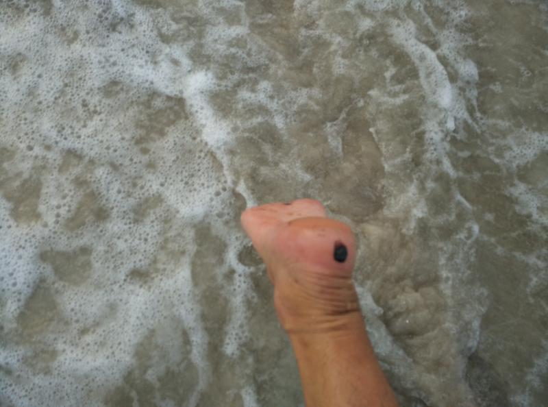 post-239633-0-31324500-1446552698_thumb.