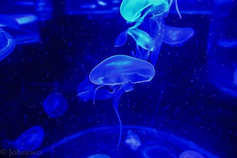 post-242846-0-17641300-1448352942_thumb.